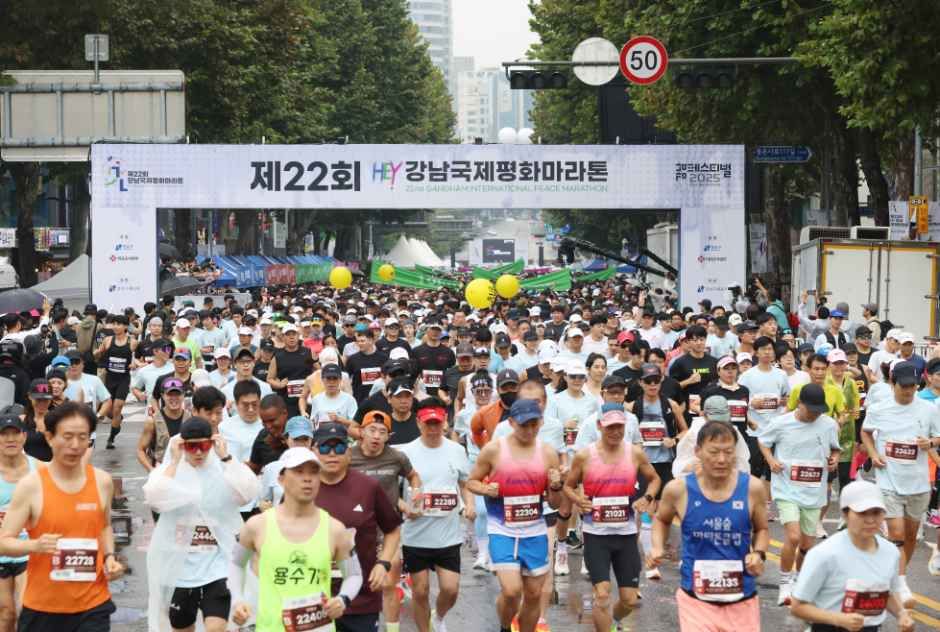 강남페스티벌 이미지 8