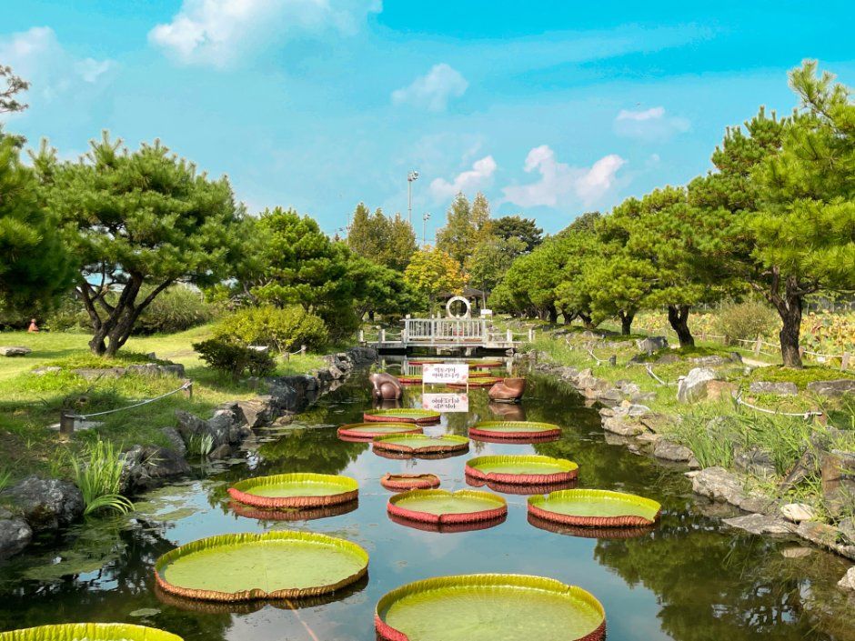 세미원 수련문화제 이미지 1
