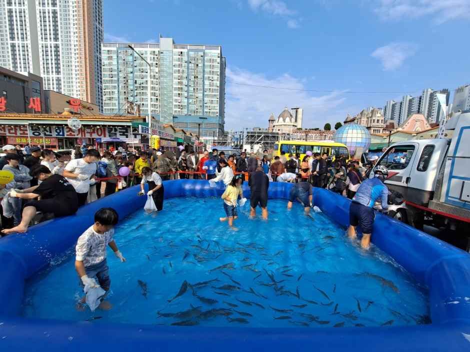 시흥월곶포구축제 이미지