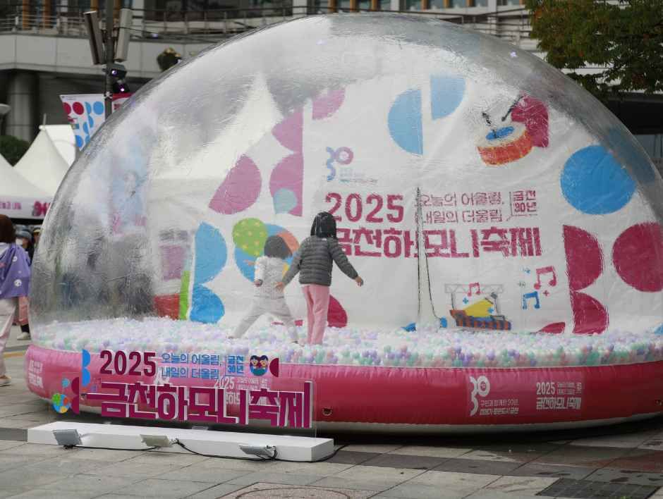 금천하모니축제 이미지 6
