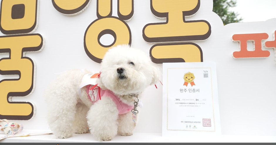 동물행복페스타 이미지 2