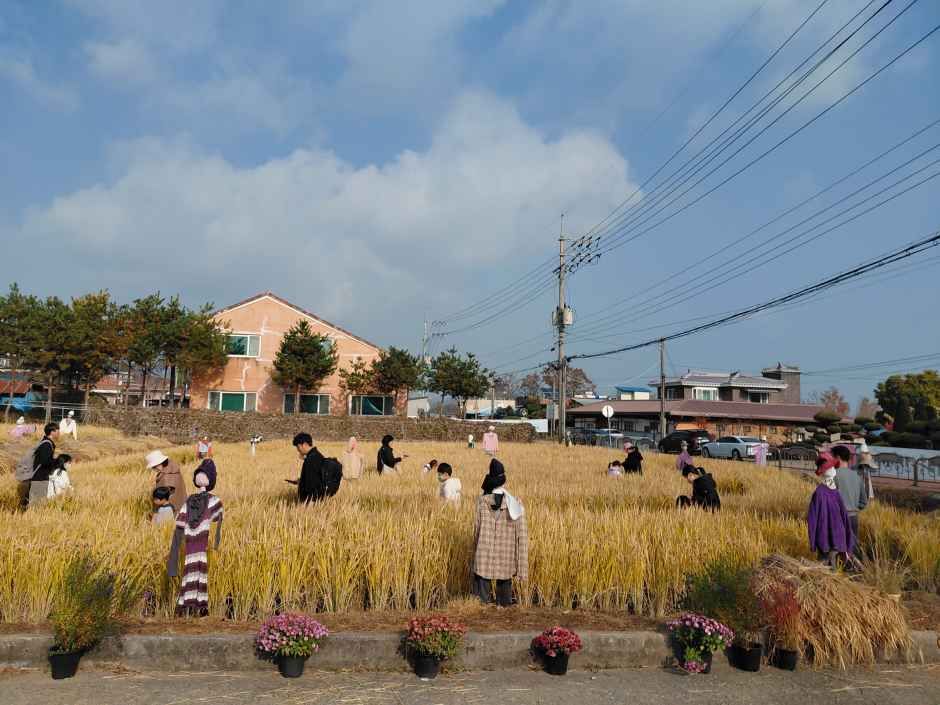 의좋은 형제 축제 이미지 7