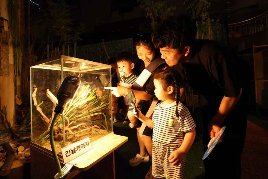 무주반딧불축제 이미지 7