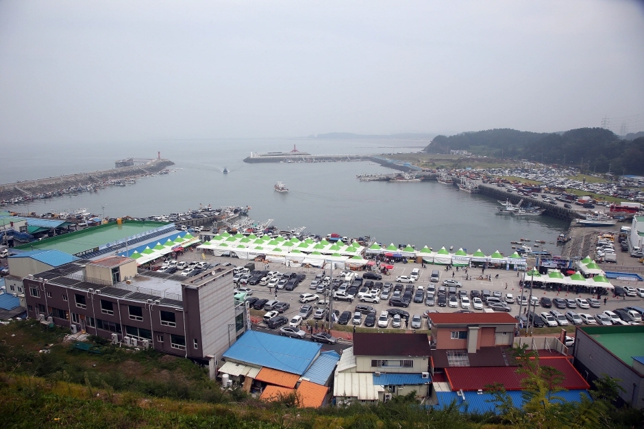 서천 홍원항 자연산 전어 꽃게 축제 이미지 3