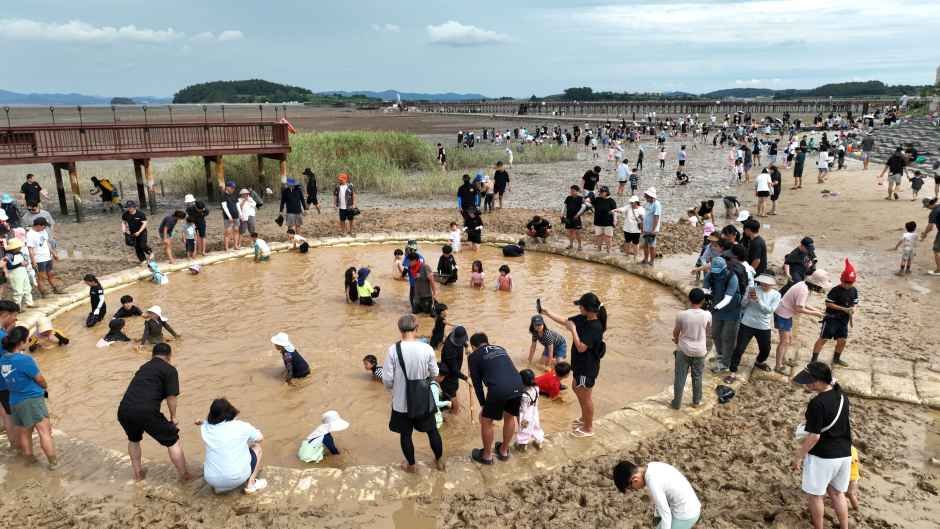 무안 황토 갯벌축제 이미지 1
