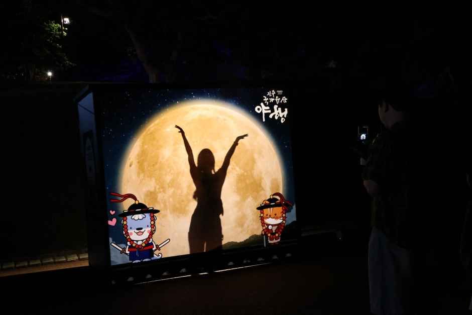 진주 국가유산야행 대표이미지