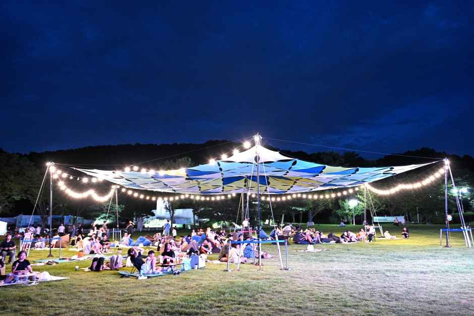 한여름 밤의 신정호 별빛축제 대표이미지